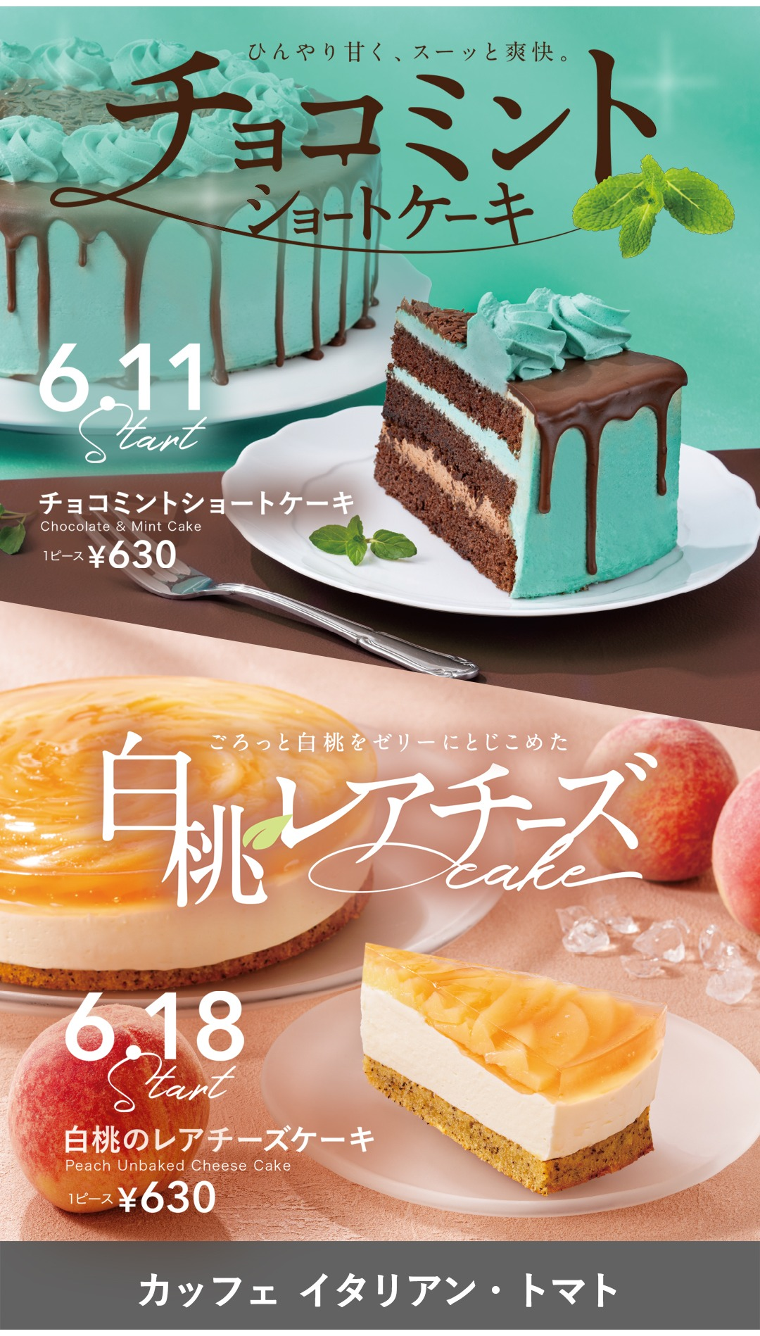 チョコミントショートケーキ】【白桃レアチーズケーキ】｜カッフェ