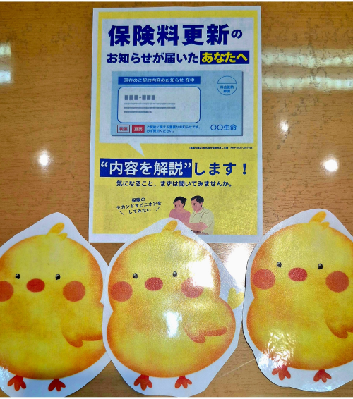 「更新のお知らせ」が届いたら・・・