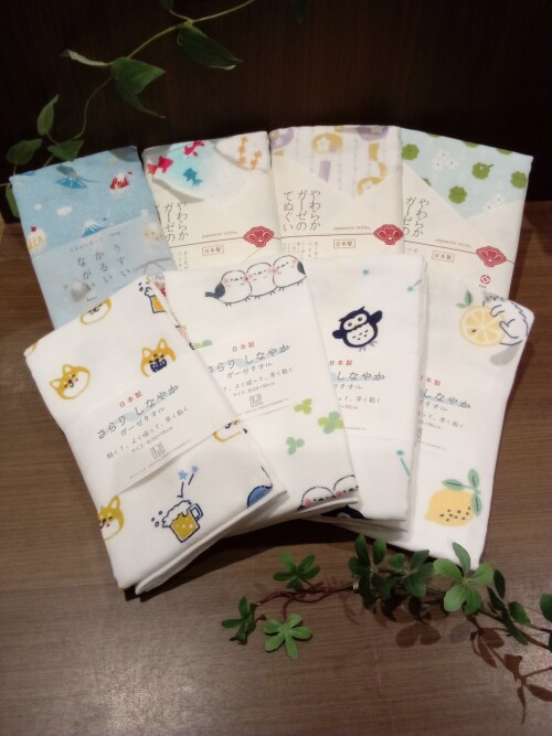 吉祥寺菊屋です♪