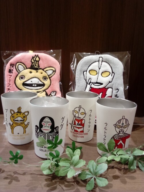 吉祥寺菊屋です😊