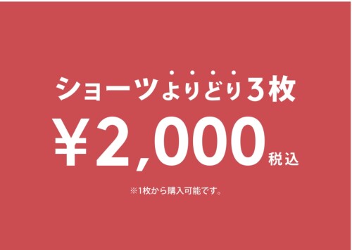 バーゲンショーツ3枚¥2,000‼️