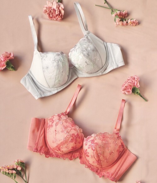 定番シリーズ新色‼️