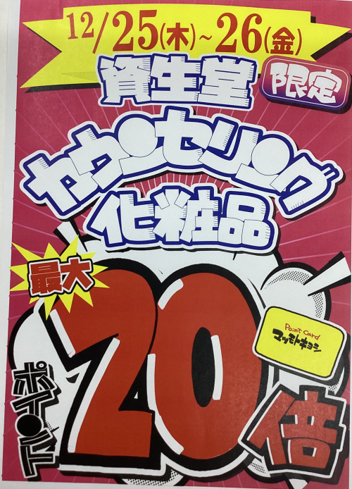 資生堂化粧品ポイント１０倍