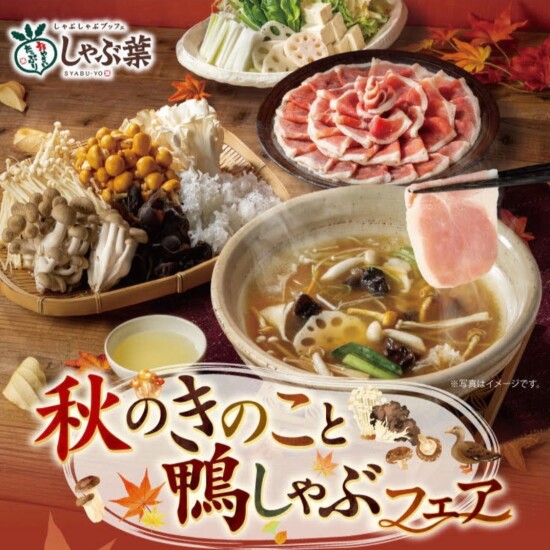秋のきのこと鴨しゃぶフェア