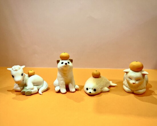 ☪️ショーケース紹介☪️