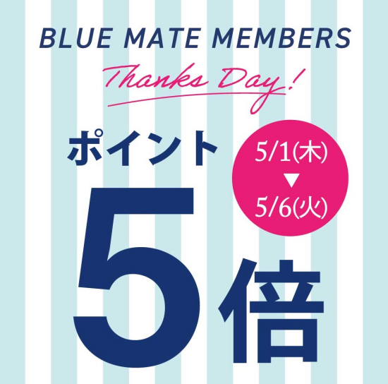 セポ スターチス