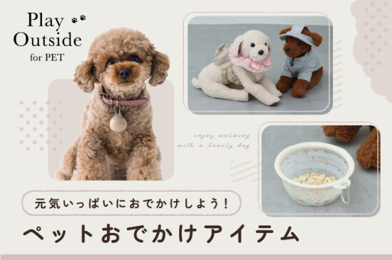 🐶新商品のご紹介🐶