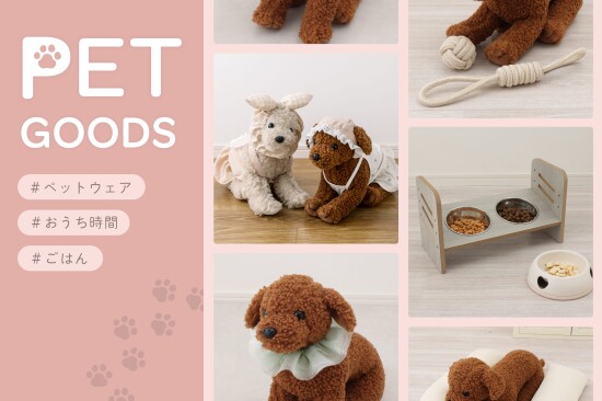 新商品のペットグッズのご紹介🐶