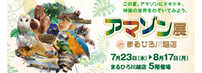 アマゾン展 in まるひろ川越店