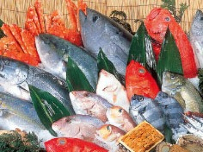 魚力