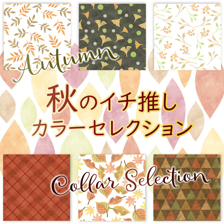 秋のイチ推しカラーセレクション